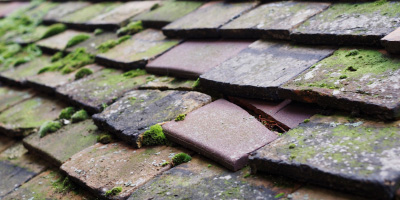 Leckwith roof repair costs